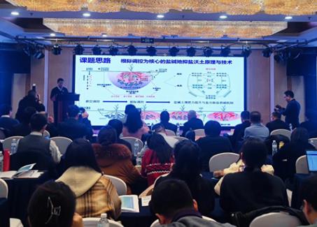 4000余万亩环渤海地区盐碱耕地将有综合利用新方案