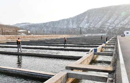 山西省渔业转型发展进入新赛道