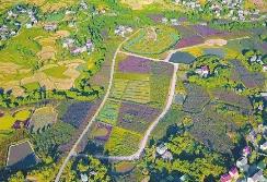 四川省深入推进乡镇行政区划和村级建制调整后续工作 782 个乡镇级片区国土空间规划完成编制