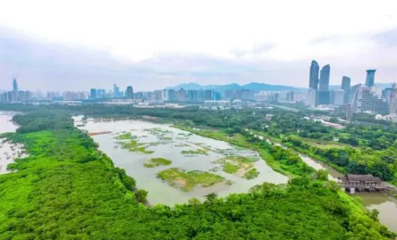 粤港澳将探索出台生态环境保护“湾区标准”