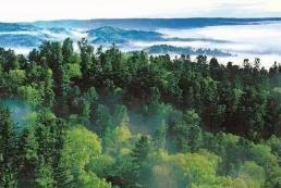 黑龙江省召开2024年林业和草原工作会议