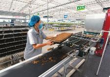 六方面发力 山西强力推动“中医药强省”建设