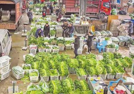 四川农产品质安监测合格率达99.4％