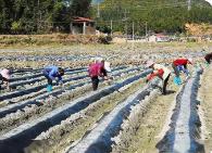 保障春耕备耕，福建下达31.89亿元！