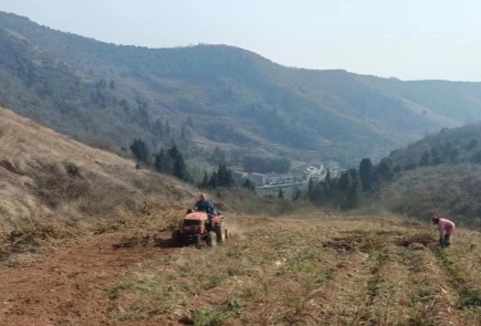 冬耕深翻待春华，烟田蓄势乐农家