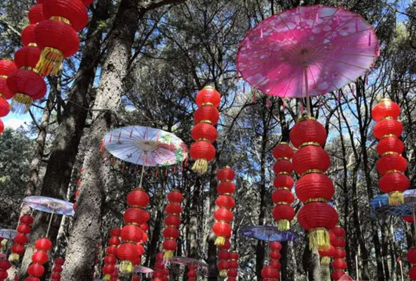 春节假期国内游客出游总花费6326.87亿元 同比增长47.3%