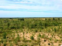 内蒙古发布2024年1号总林长令