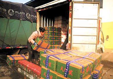 实探蔬菜之乡寿光：大棚是必逛“景点”