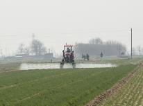 河南省小麦春管由南向北陆续展开