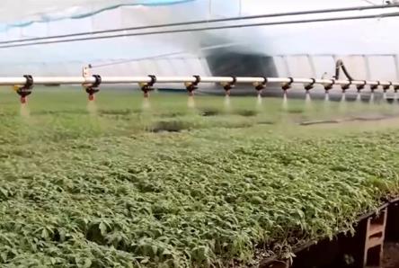 春耕农事忙、农资有保障 守稳百姓“粮袋子”“菜篮子”“果盘子”