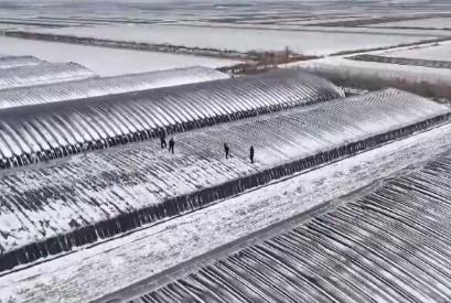 向雪而行！科技小分队守护“大国粮仓” 护航农业生产