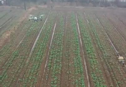 现场指导+数智技术+社会化服务 多地农业部门打出春耕春管“组合拳”