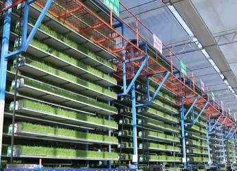 春耕备耕由南向北陆续推进 农业科技、特色种植为乡村振兴“增色添香”