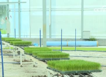 南方早稻开始育秧 科技助力备春耕