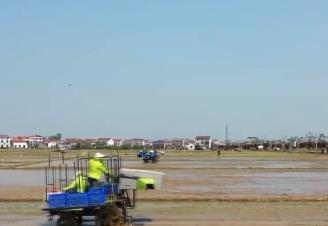 一“增”一“减”促增收 整合资源要素保障农民种粮有钱赚