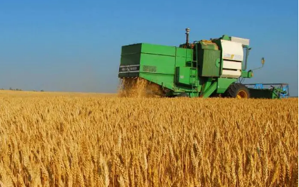 2024年新疆粮食生产目标再增100万吨 总产不低于2200万吨