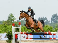 全国首创！四川布局组建全国首批赛马制工程研究中心