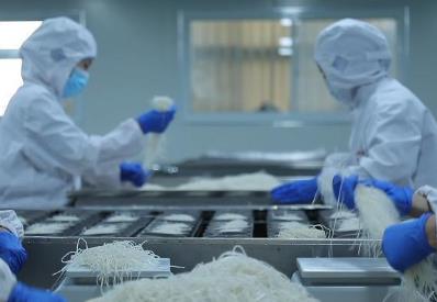 河南通许：十大实绩绘就“中国酸辣粉之都”新章程