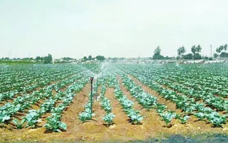 山西将建设10万亩有机旱作示范区