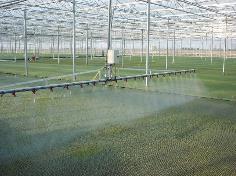 我国设施种植机械化迈入加快发展新阶段