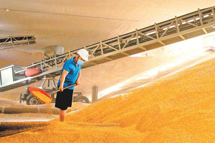 粮食购销和储备数字化监管体系初步建成