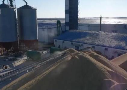 科技加持粮食“购销和储备”各环节 人机协同“大数据”管粮