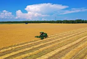 黑龙江省农业农村厅全力推动农业生产实现良好开局