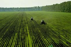 黑龙江省“三农”工作抢抓开局