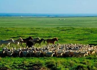 京蒙“旅游倍增计划”去年互送游客超1500万人次