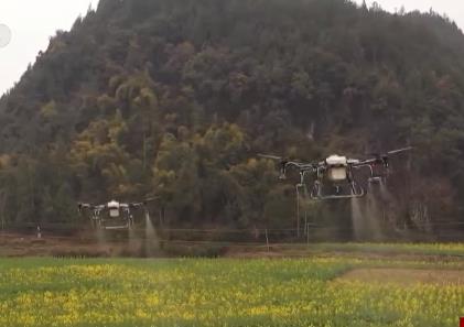 田间地头尽显“科技范” 为夏粮丰收按下“确定键”