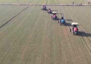 不误农时不负春 全国多地春耕春播春管工作全面展开