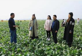 山西省累计培育940名乡村产业振兴带头人