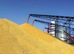 福建：深化拓展“三争”行动  持续推进全省粮储系统“三大提升行动”