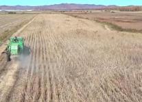 黑龙江省启动春季秸秆禁烧管控和综合利用工作