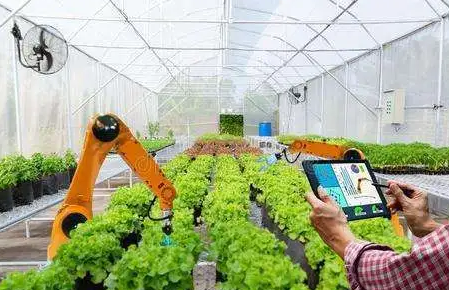 数据要素推动现代农业乘“数”而上