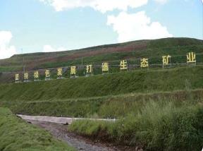 逐绿而行 内蒙古推动绿色矿山建设