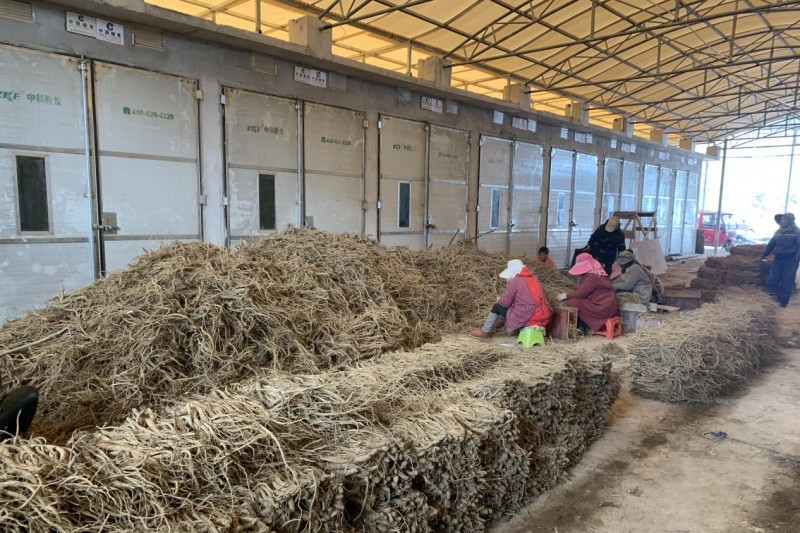 湖北鹤峰：“一房”多用，闲置烤房促增收