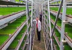 湖南省今年新（改）建育秧设施1800万平方米