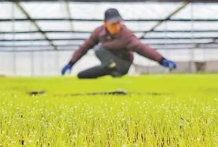 前沿科技集体亮相 广东各地奏响科技春耕“进行曲”