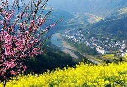 春季旅游市场亮点：超千款赏花错峰游产品上线