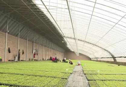 一年好景在春耕 各地万象“耕”新绘就生机勃勃的农事图景