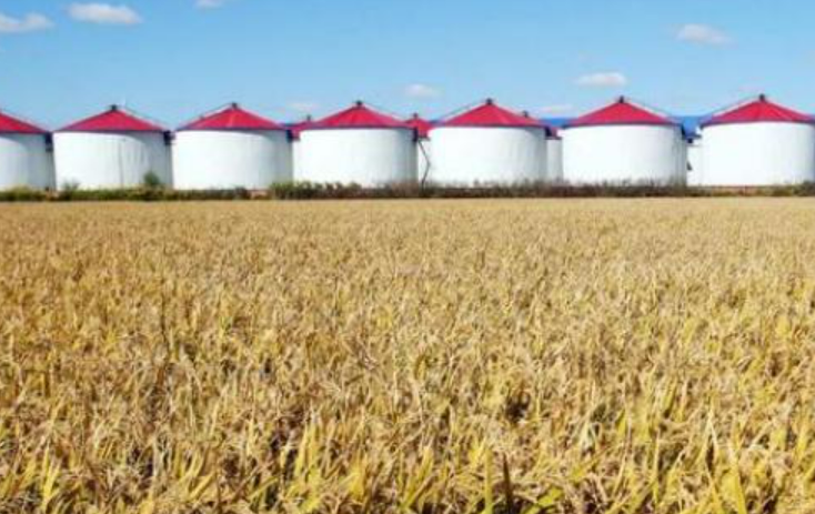 辽宁省今年粮食产量要达到500亿斤左右