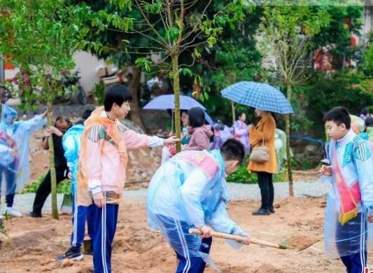 广东持续开展义务植树活动 民众争做绿美守护者