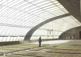 农田吃上“营养餐”、自动化播种育苗 多地春耕大幕已开启