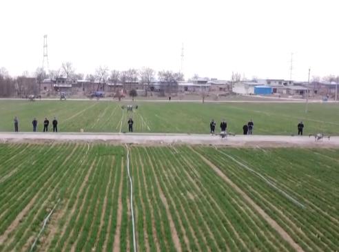 春意盎然万象“新” 春耕画卷由南向北次第铺展