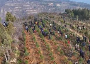 2024年河南全省计划造林152.86万亩