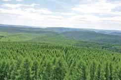 山西省人工造林面积连续三年位居全国前列