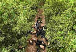 黑龙江：推广绿色养殖 促进农牧循环