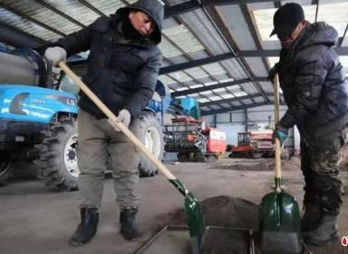 黑龙江省备春耕 六成种子已下摆到位