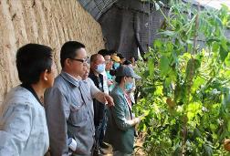 内蒙古搭建农牧区乡土人才培育平台